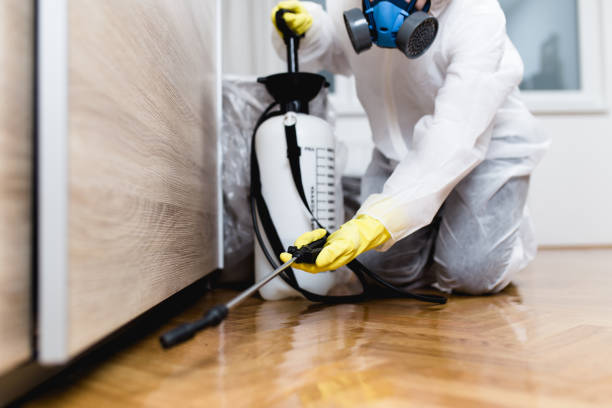 Best Bed Bug Extermination  in Clarence, IA