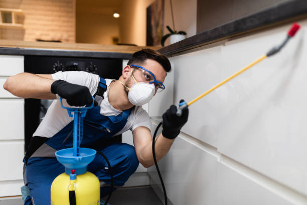 Best Best Pest Control Companies  in Clarence, IA