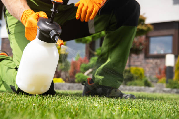 Best Local Pest Control Services  in Clarence, IA