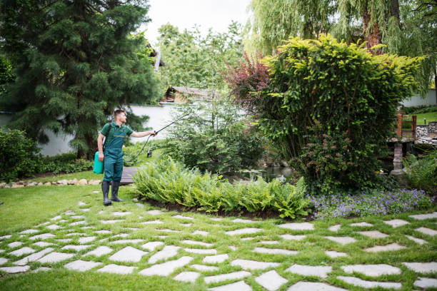 Best Pest Control Near Me  in Clarence, IA