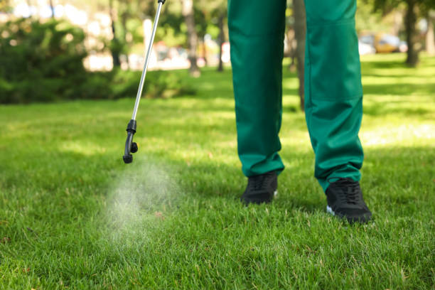 Best Bed Bug Extermination  in Clarence, IA