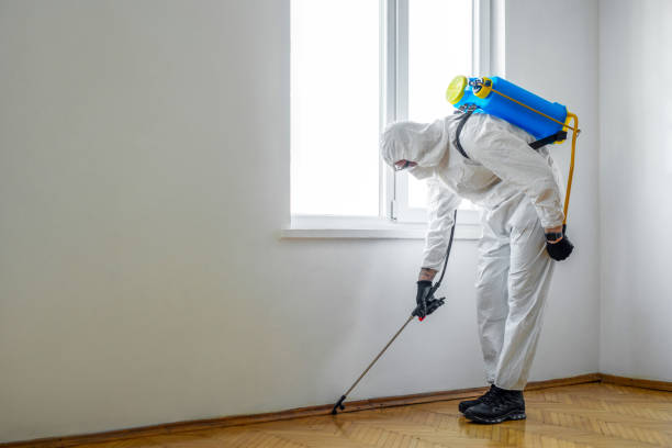 Best Pest Control for Homes  in Clarence, IA