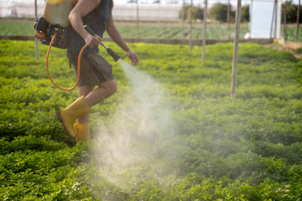 Best Wildlife Control Services  in Clarence, IA