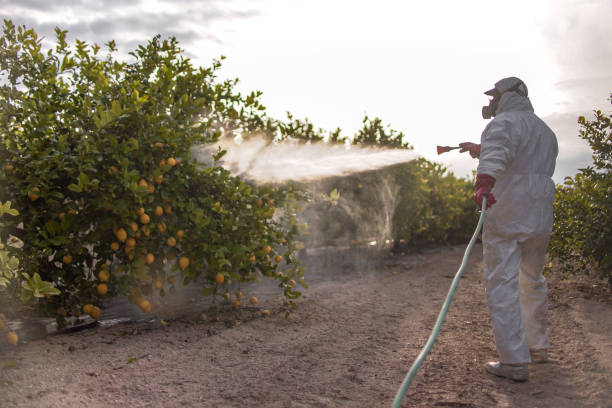  Clarence, IA Pest Control Pros