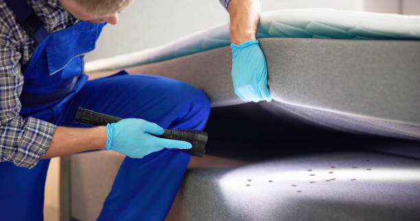 Best Wasp Removal Services  in Clarence, IA
