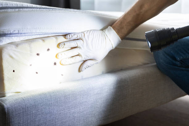 Best Best Pest Control Companies  in Clarence, IA