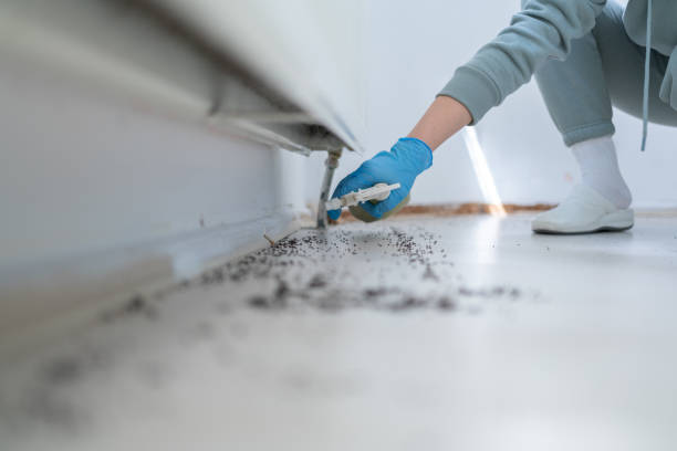 Best Pest Prevention Services  in Clarence, IA