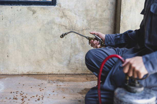 Best Affordable Exterminators  in Clarence, IA